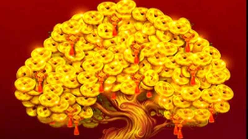 在星空体育玩多福多财街机版，让你多福又多财