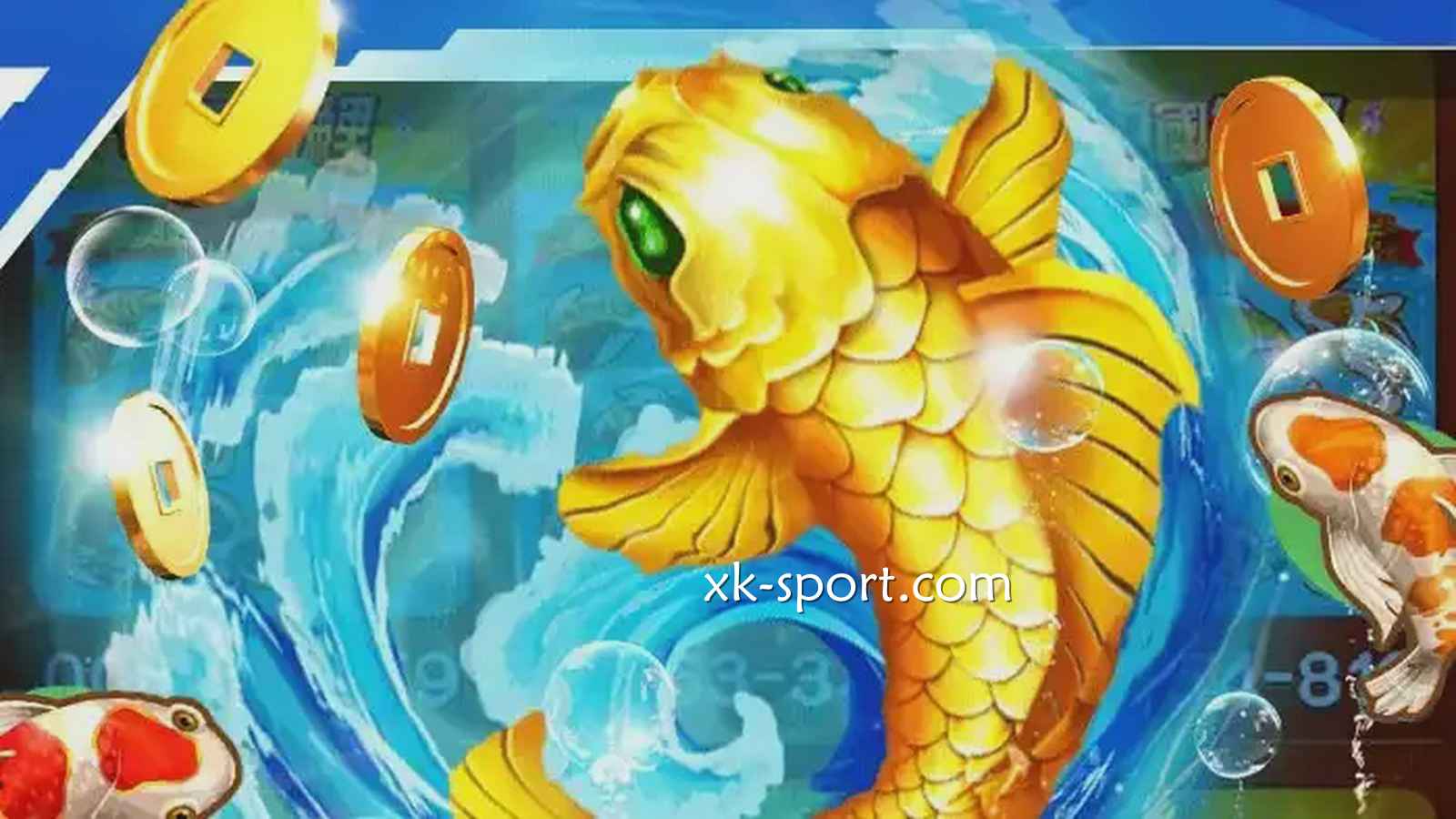 星空体育《中国锦鲤》为你送锦鲤,玩过才懂它的好
